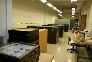 Main collection space of the WIRC in the Stock Pavilion.