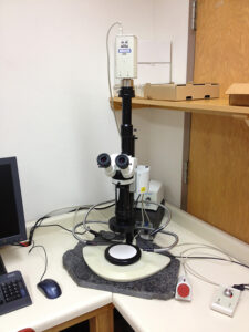Imaging system consisting of a dissecting microscope and digital camera.